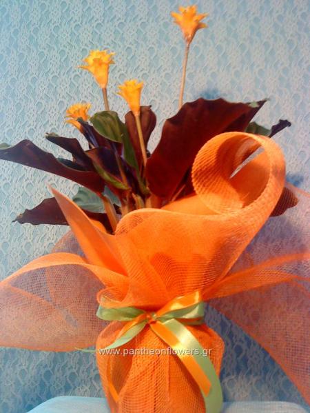 ΛΟΥΛΟΥΔΙΑ - Λουλούδια louloudi louloudia gamos