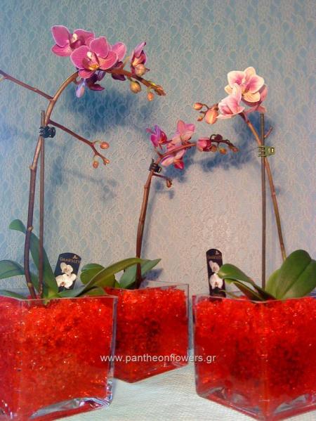 ΛΟΥΛΟΥΔΙΑ - Λουλούδια louloudi louloudia gamos