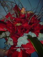 [$Louloudia] louloudi louloudia gamos