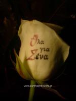 [$Louloudia] louloudi louloudia gamos