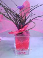 [$Louloudia] louloudi louloudia gamos